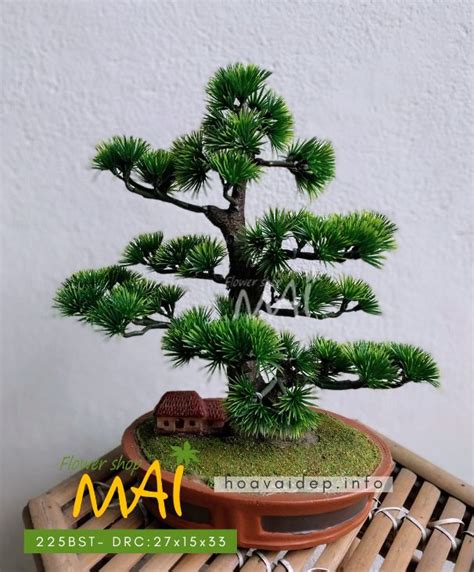 Cây tùng bonsai giả để bàn 225BST - Hoa vải đẹp MAI