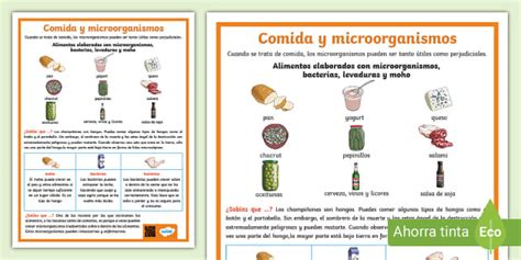 Hoja De Información Comida Y Microorganismos Twinkl