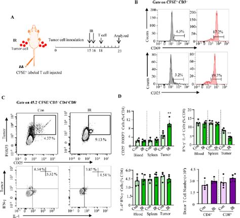 Irradiated Glioblastoma Gbm Cells Decrease Th1 And Increase Treg