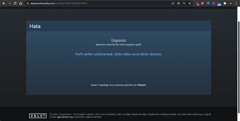 Steam Profil verileri yüklenemedi lütfen daha sonra tekrar deneyin