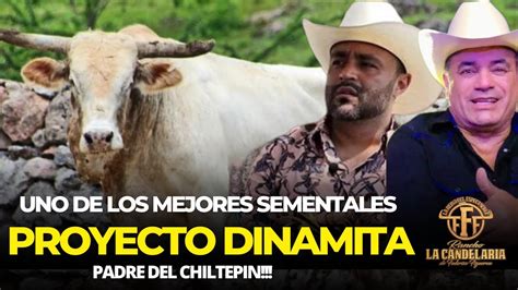 El Proyecto Dinamita Uno De Los Mejores Sementales Del Jaripeo Ranchero