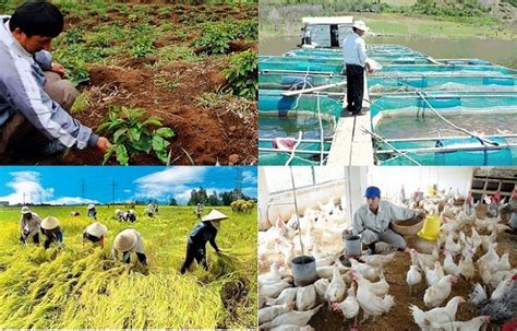 Giá trị sản xuất ngành nông nghiệp (Value of Agricultural Production ...