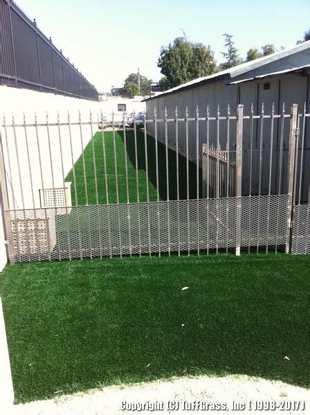 Artificial Grass for Dogs | Artificial Grass Installer | TuFFGrass