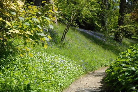 16 Enchanting Gardens To Visit in Dorset