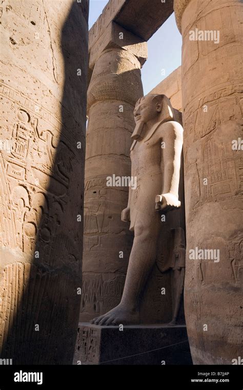 Estatua De Ramesses Ii En El Templo De Luxor Fotograf As E Im Genes De