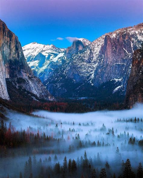 Foggy Vibes At Yosemite National Park California Photo By