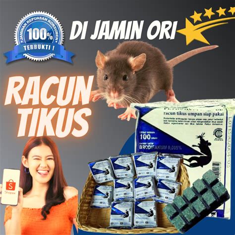 Jual Racun Tikus Paling Ampuh Membasmi Tikus Rumah Racun Petrokum Mati