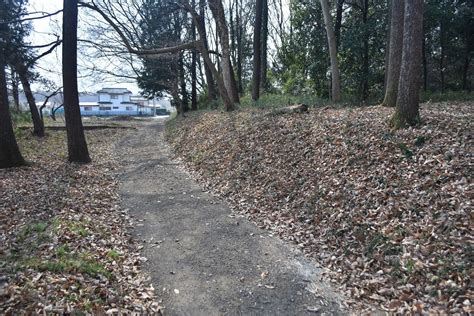 埼玉県毛呂山町鎌倉街道上道を訪ねる1ー 指定されたてホヤホヤの遺跡 名宝を訪ねる 日本の宝 文化財