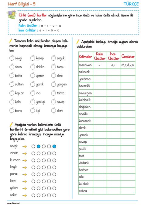 3 Sınıf Ünlü Sesli Harfler Konu anlatımı ve Etkinlikleri Soner Hoca