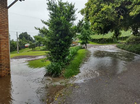 Chuva causa prejuízos na Serra Gaúcha Brasil de Vinhos