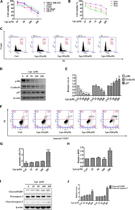 Frontiers Lansoprazole Alone Or In Combination With Gefitinib Shows