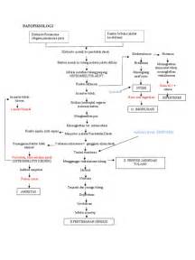 Patofisiologi Osteomielitis Pdf