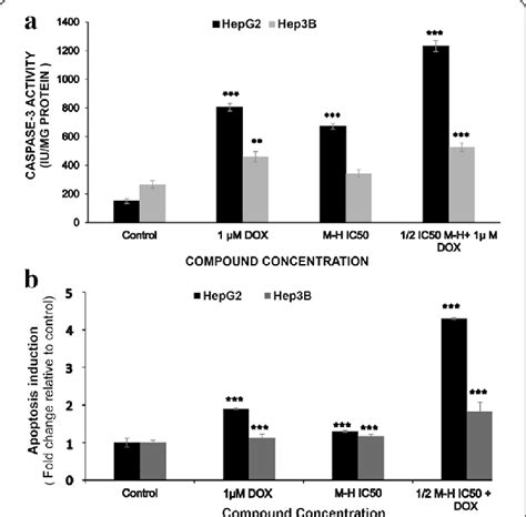 Manuka Honey Induced Caspase Activation And Apoptosis Induction In