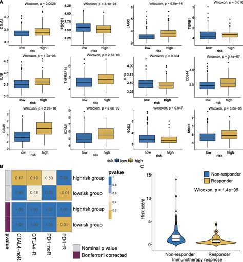 Frontiers Multi Omics Profiling Identifies Risk Hypoxia Related