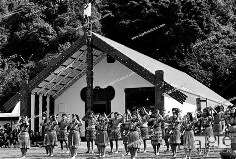 Traditional Maori Ceremony In Front Of Marai Meeting House New Zealand