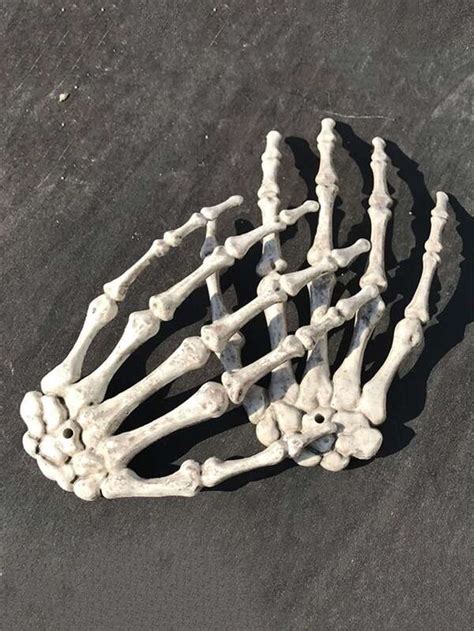 2 Pack Halloween Skeleton Hands Realistic Life Size Severed Plastic Skeleton Hands for Halloween ...