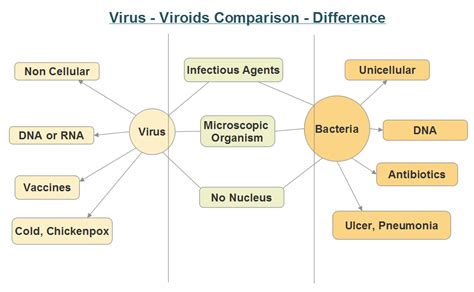 Difference between Virus and Bacteria - NEETLab