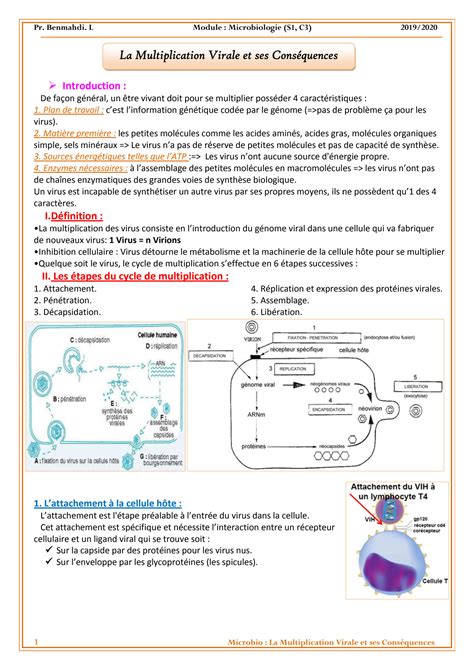 SOLUTION 03 La Multiplication Virale Et Ses Cons Quences Studypool