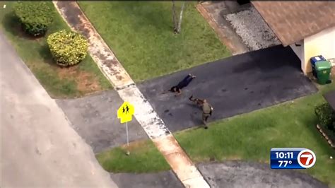 4 In Custody After Police Chase Ends With Bail Out In Lauderhill Wsvn