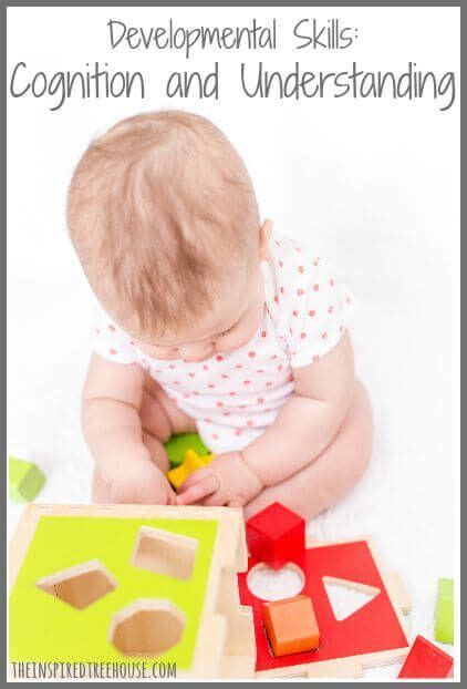 Infant Toddler Cognitive Development