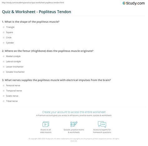 Quiz & Worksheet - Popliteus Tendon | Study.com