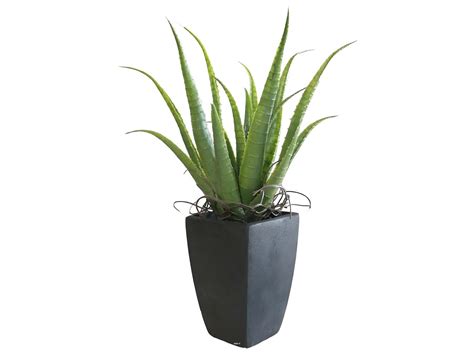 Agave Succulente plante artificielle cactée en pot H 36 cm Vert Type B