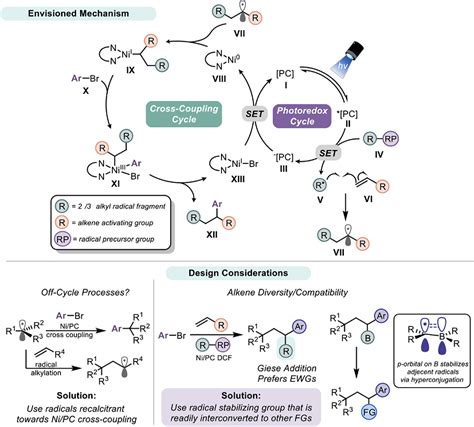 Figure 2 From Three Component Olefin Dicarbofunctionalization Enabled