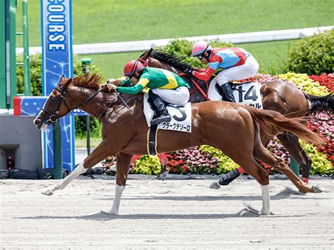 【2歳未勝利福島3rレース後コメント】クラークテソーロ原優介騎手ら 競馬ニュース Netkeiba