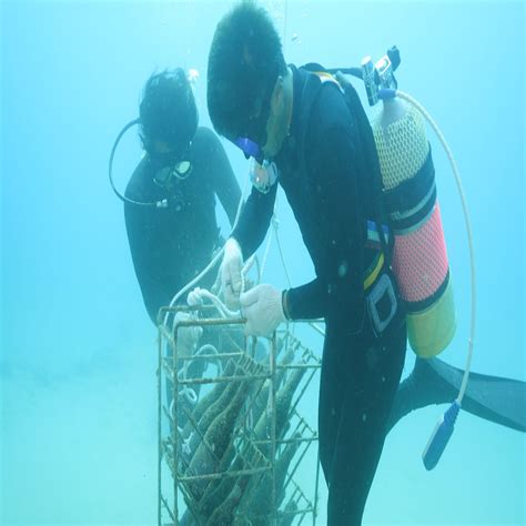 水深20メートルの海底で半年間 ｢海底熟成ワイン｣引き揚げ 水温､水圧などで熟成早く 2024年6月26日掲載 ライブドアニュース