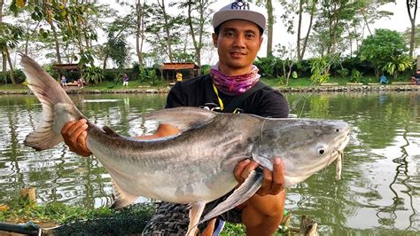 Mancing Ikan Monster Di Kolam Monstero Sidoarjo Mancing Vlog Bali Ep