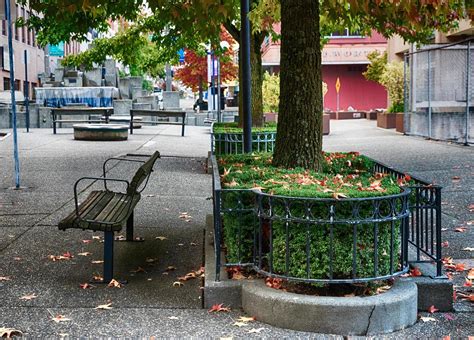 Urban inner city park with bench 15769922 Stock Photo at Vecteezy