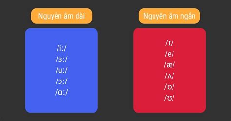 Nguyên Âm Dài Là Gì Tìm Hiểu Cách Phân Biệt Nguyên Âm Dài và Ngắn