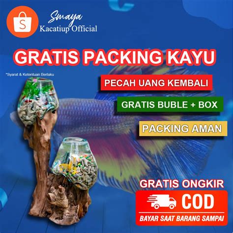 Jual AQUARIUM AKUARIUM MINI IKAN CUPANG HIAS AKRILIK KACA BULAT UNIK