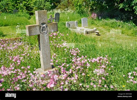 Graveyard wild flowers hi-res stock photography and images - Alamy