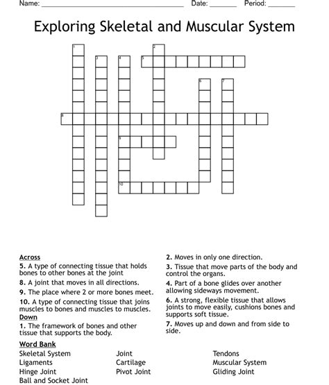 Exploring Skeletal And Muscular System Crossword Wordmint