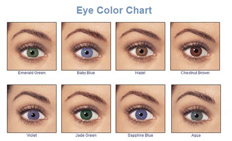 Human Eye Colour Chart By Delpigeon The Eye Sight 3 Facts About Eye