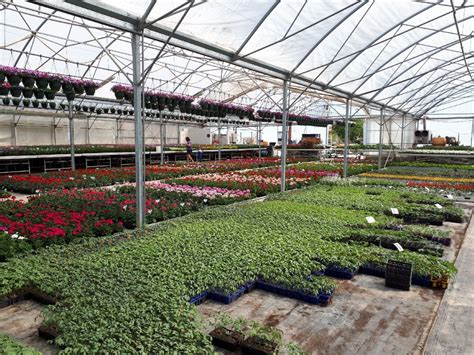 Livraison Drive Ouverture Des Serres Les Horticulteurs Reprennent Du