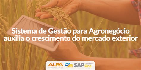 Sistema De Gestão Para Agronegócio Acelera Mercado Externo