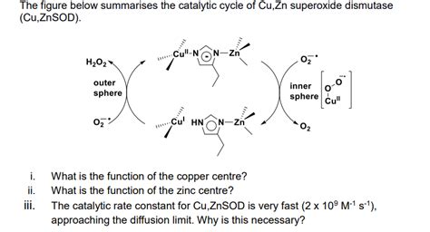 Solved The Figure Below Summarises The Catalytic Cycle Of Chegg