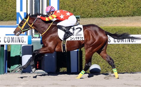 【阪神6r・2歳新馬】関東馬ユイノマチブセ圧勝 阪神jf2着シンリョクカの木幡初也騎手「イメージ通り」 スポーツ報知