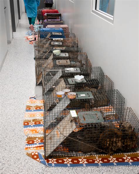 Humane Society of Greater Dayton | Dayton OH