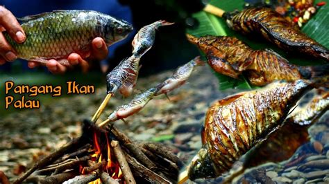 Memasak Di Hutan Panggang Dan Makan Ikan Palau Di Hutan Bake And