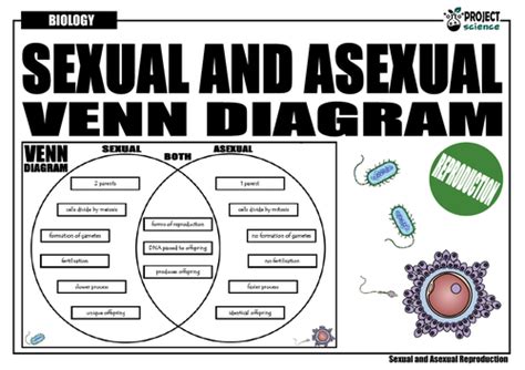 Sexual And Asexual Reproduction Venn Diagram Teaching Resources