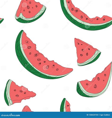 Vector Set Of Slices Of Watermelon Drawing By Hand The Doodle