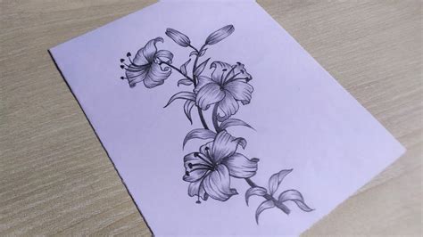 Beautiful Flower Drawings In Pencil