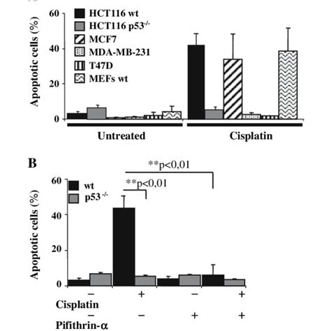 Cisplatin Induces P53 Mitochondrial Translocation Effect Of