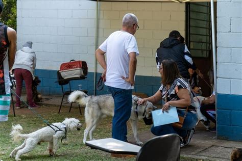 Mutir O Castra Pets Em Tabo O Da Serra Acontece Nos Dias E De Outubro