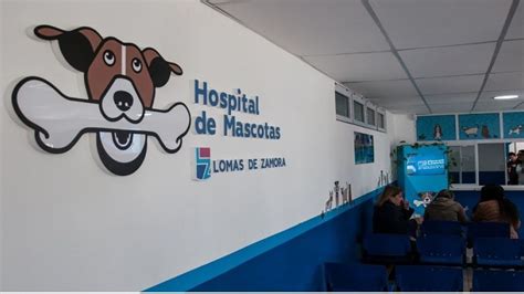 Inauguran Hospital Municipal Para Mascotas En Argentina Capu Y Bigotes