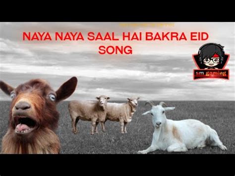 Bakra Eid Song Naya Naya Saal Hai Youtube