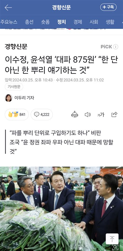 이수정 윤석열 ‘대파 875원 “한 단 아닌 한 뿌리 얘기하는 것” 정치시사 에펨코리아